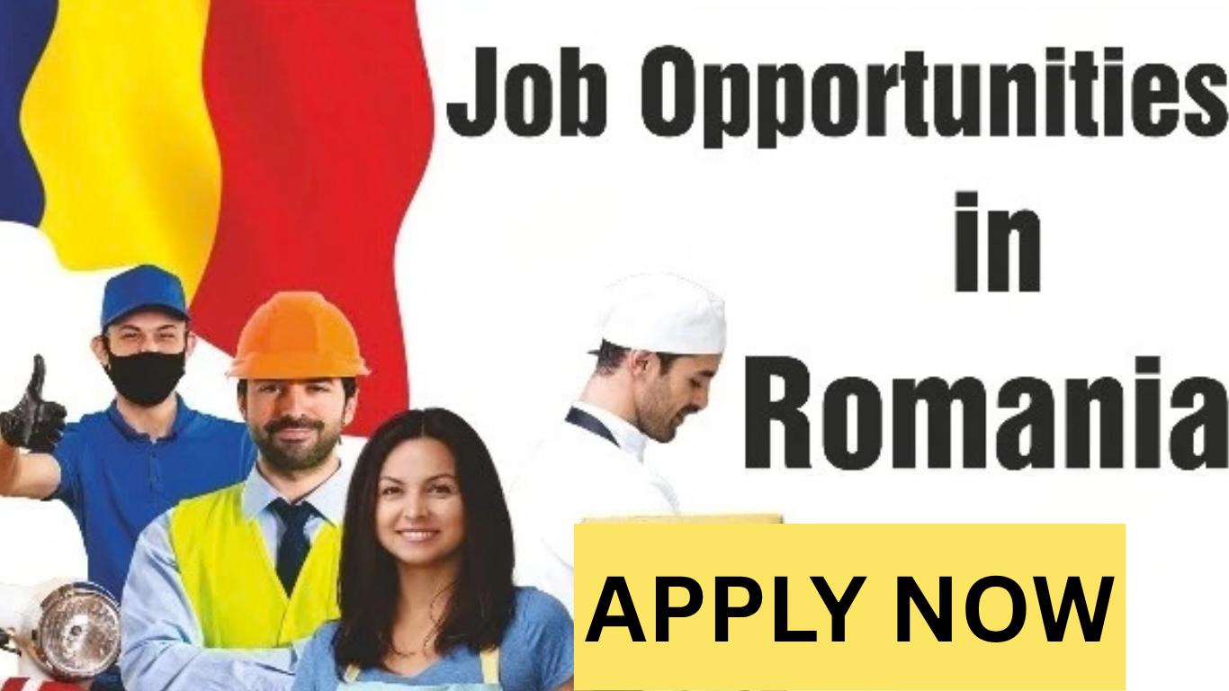 Shop Laborer Cleaner Job in Romania